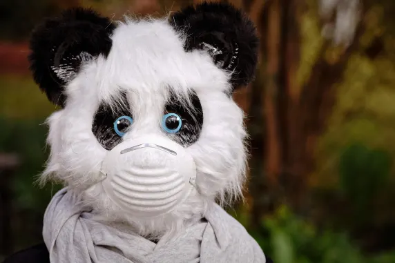 BigAzart Casino Kundeservice